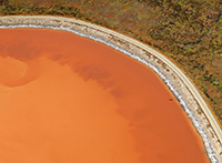 Orange Salt Pond, Bird